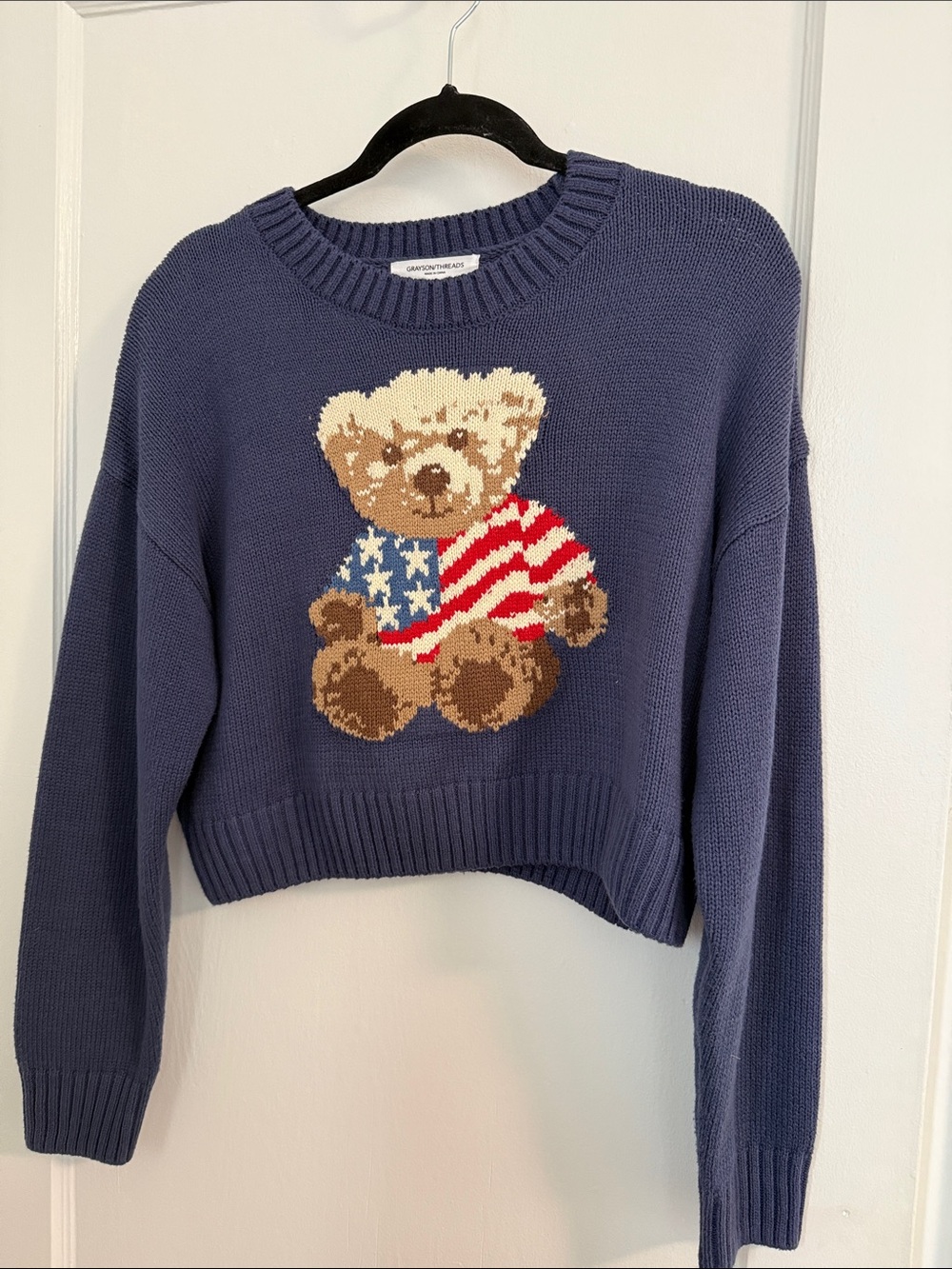 Navy Teddy Graphic Cropped Sweater